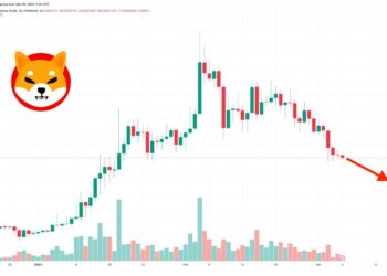 Shiba Inu Price Prediction as $150 Million Trading Volume Comes In – Are Whales Buying the Dip?