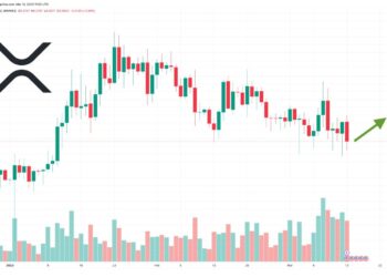 XRP Price Prediction as Ripple CEO Confirms Exposure to Silicon Valley Bank – What Does This Mean for XRP?