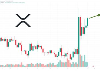 XRP Price Prediction as XRP Becomes Best Performing Crypto Over the Last 7 Days – Is a New Bull Market Starting?