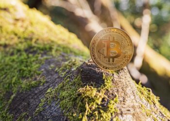Greenpeace’s Bitcoin Art Piece Praised by Supporters