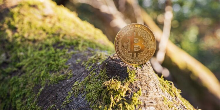 Greenpeace’s Bitcoin Art Piece Praised by Supporters