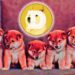 ‘We Need Doge’ – Burger King Twitter Account Wags the Dog, Sends Dogecoin Flying