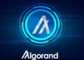 Algorand Wallets Hacked Again | Blockchain News