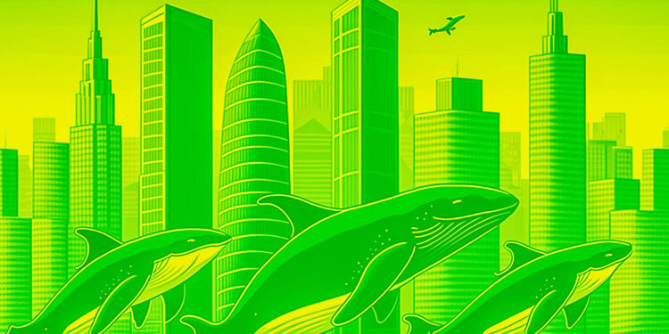 Whales Move Over $800,000,000 in Bitcoin, Ethereum, XRP and Polygon – Here’s Where the Crypto Is Headed