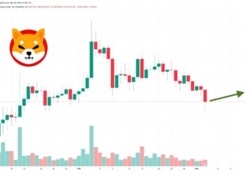Shiba Inu Price Prediction as $300 Million Trading Volume Floods In – Are Whales Selling SHIB?