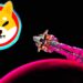 Shiba Inu’s Shibarium Says Public Beta Launch Imminent As Bone ShibaSwap (BONE) Skyrockets