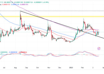 Shiba Inu Price Prediction as SHIB Blasts Up 15% From Recent Bottom – New Bull Market Starting?