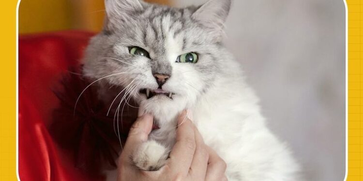 Dump & Miss Out, Close Banks, Take Down & Lay Off, and Laugh at 20 Crypto Jokes