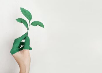 Top 5 Companies Pioneering Sustainable Bitcoin Mining