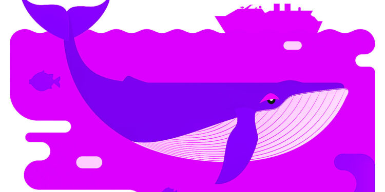 Bitcoin and XRP Whales Abruptly Move Over $650,000,000 Worth of Crypto in Just 24 Hours