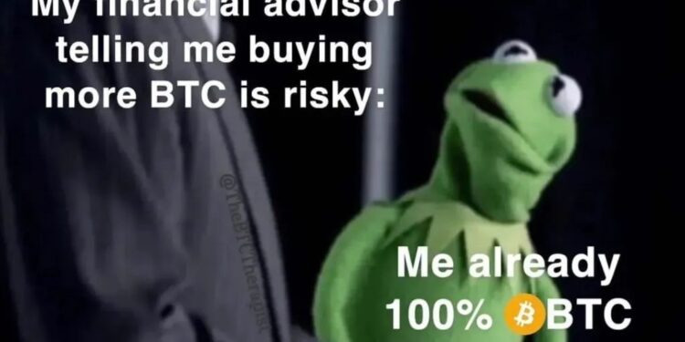 Bitcoin Bearbulls, Institutional Altcoins, Voluntary Liquidations and 20 Crypto Jokes