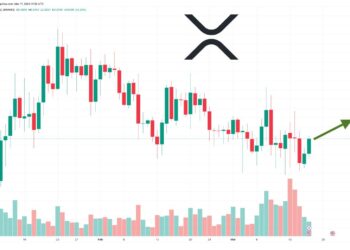 XRP Price Prediction as $900 Million Trading Volume Comes In – Are Whales Buying Before the Ripple Lawsuit Conclusion?