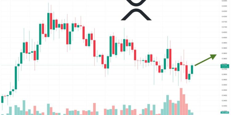 XRP Price Prediction as $900 Million Trading Volume Comes In – Are Whales Buying Before the Ripple Lawsuit Conclusion?