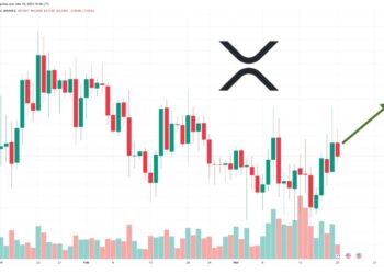 XRP Price Prediction as Market Cap Reaches $20 Billion – Can XRP Reach $10?