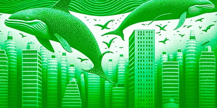 Top Dogecoin Whales Offloaded Over $123,000,000 DOGE As the Memecoin Pumped 30% Amid Twitter Logo Changes