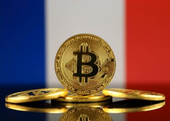 One in 10 French People Own Crypto, Study Finds – Is Adoption Increasing?