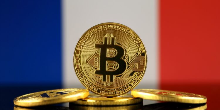 One in 10 French People Own Crypto, Study Finds – Is Adoption Increasing?