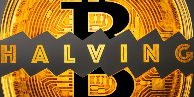 Bitcoin ‘Halving’ Can Send BTC Past $50,000 – Here’s Why