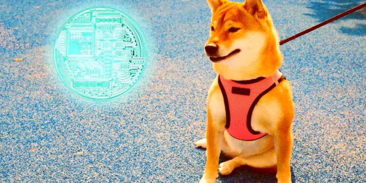 Dogecoin (DOGE) Drops 6% As Elon Musk’s SpaceX Test Rocket Launches, Explodes
