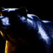 Tornado Cash Suffers 13% Bear Hit, Will Parole Save Price?