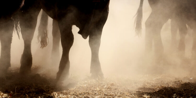 Bitcoin Price Reclaims $29,800, Driven By These Factors