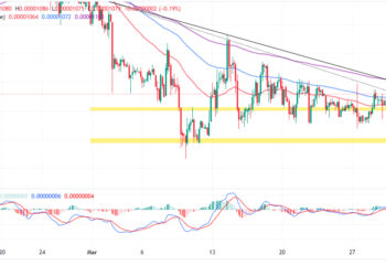 Shiba Inu Price Prediction as Testnet ‘Puppynet’ Sees Huge Spike In Activity as Shibarium Launch Approaches – Can SHIB Reach $1?