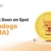 Tamadoge Price Prediction – Will TAMA 10x After Teasing Top 5 Exchange Listing?