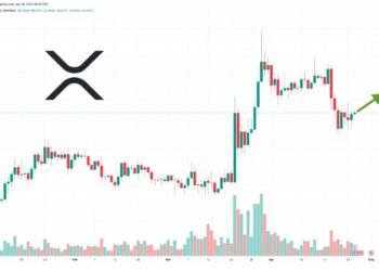 XRP Price Prediction as $1 Billion Trading Volume Rushes In Before Lawsuit Conclusion – Are Whales Buying?