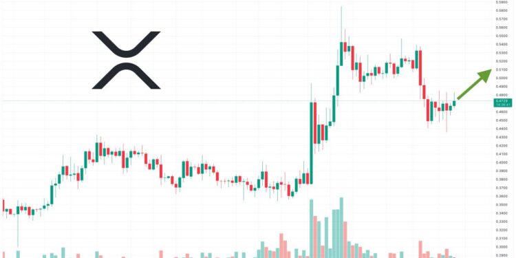 XRP Price Prediction as 24-Hour Trading Volume Blasts Past $2 Billion – Are Whales Buying XRP?