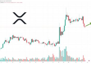 XRP Price Prediction as Unknown Whale Moves 30 Million XRP into New Wallet – What’s Going On?