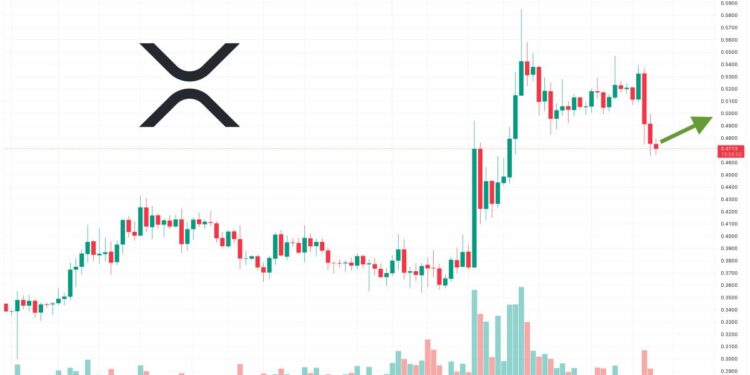 XRP Price Prediction as Unknown Whale Moves 30 Million XRP into New Wallet – What’s Going On?