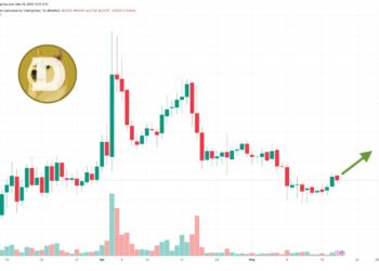 Dogecoin Price Prediction as Tokens Built on Dogecoin Blockchain Reach All-Time High – Can DOGE Reach $1?