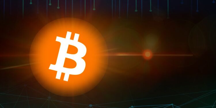 Will Bitcoin Prices Limit And Slow Down The Number Of BTC ‘Wholecoiners?’