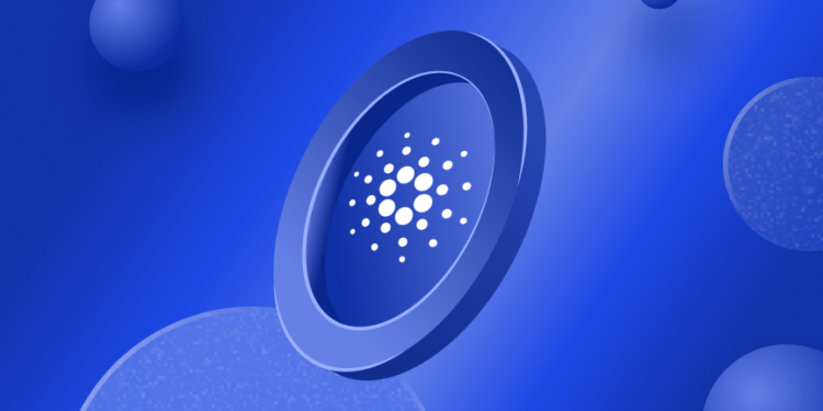 Data Suggests Small Holders Will Drive Next Cardano (ADA) Rally