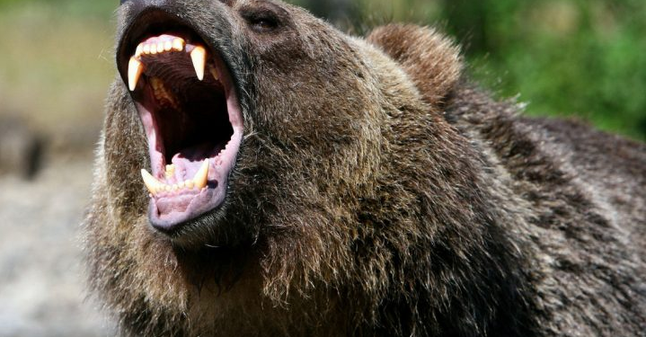 Bears Push Binance Coin Back To $300 Level Amid Failed Bull Run