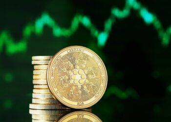 Cardano Price Forecast as Whale Activity Shows Huge Buy Orders Filling Up – What Do They Know?