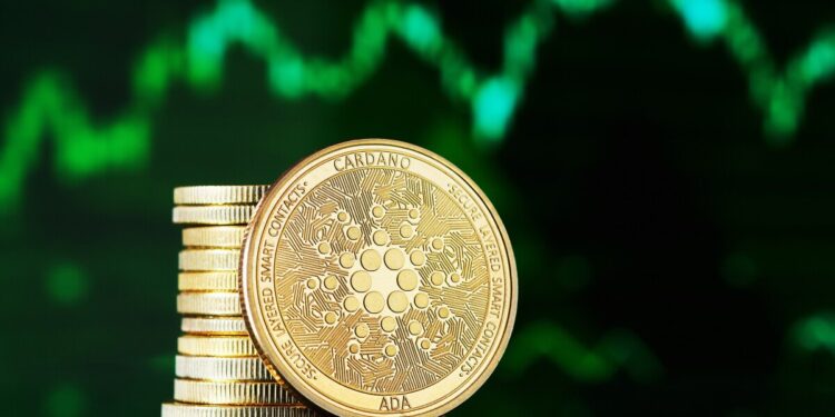 Cardano Price Forecast as Whale Activity Shows Huge Buy Orders Filling Up – What Do They Know?