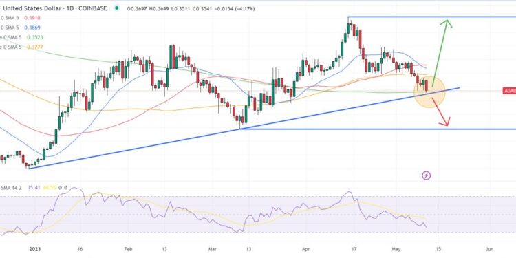 Hydra Scaling Solution Gains Attention Amid Ethereum Gas Fee Surge – Is It Time to Buy?