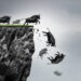 The One Line Bitcoin Must Hold To Be Bullish