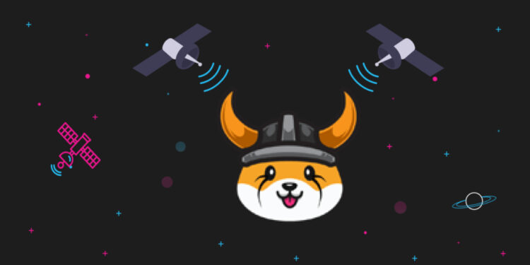 Floki Inu Rallies 40% In 24 Hours: Here’s Why