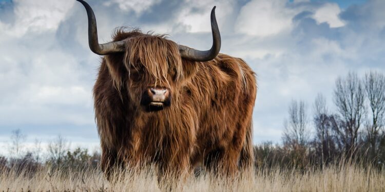 Uniswap (UNI) Surges After A Bumpy Ride, Is Bearish Run Over?