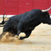 XRP Price Set To Skyrocket, Expert Predict $3.82 Target Amidst Bullish Sentiment