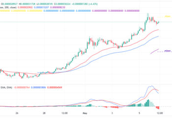 Pepe Coin Price Prediction as Binance Postpones Exchange Listing – Will SPONGE and AiDoge Take-Off Next?