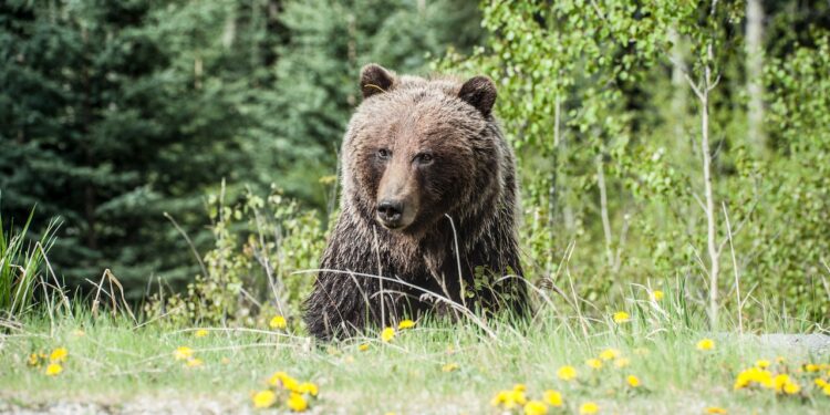 Bearish Sentiment Hits EOS As Bulls Lose Control, What Lies Ahead?