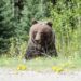 Bearish Sentiment Hits EOS As Bulls Lose Control, What Lies Ahead?