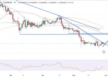 Shiba Inu Price Prediction as Meme Coins Take Off – Is Now a Good Entry Point on SHIB?