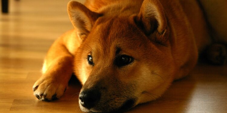 Shiba Inu Community Destroys 3.26 Billion SHIB in April Amid Price Decline