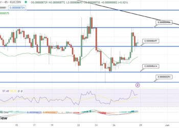 Shiba Inu Price Prediction as Coin Gains 3% in 24 Hours – Will US Debt Ceiling Deal Propel SHIB to $1?