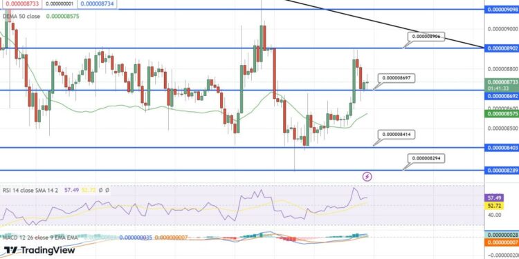 Shiba Inu Price Prediction as Coin Gains 3% in 24 Hours – Will US Debt Ceiling Deal Propel SHIB to $1?