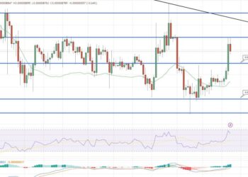 Can SHIB Reach $1 After $100m Trading Volume?